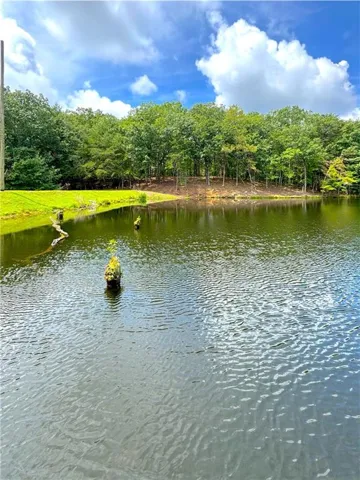 Waterfront property with a natural pond and surrounding mature trees