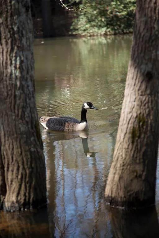 396 Carolwood Lane, Atlanta, Georgia 30342, 3 Bedrooms Bedrooms, ,2 BathroomsBathrooms,Residential,Sold,396 Carolwood Lane,5795377