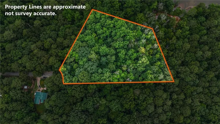 Wooded lot outlined in orange, featuring mature trees and a natural landscape