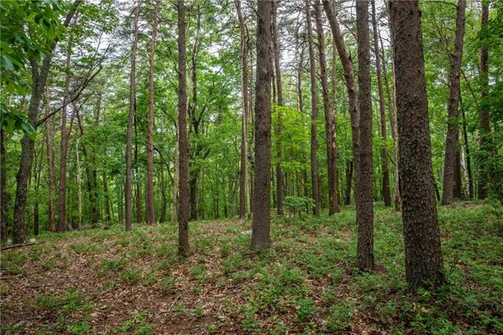 206r Mystic Trail Lane, Jasper, Georgia 30143