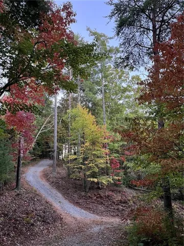 0 Pleasant Hill Trail, Ellijay, Georgia 30540