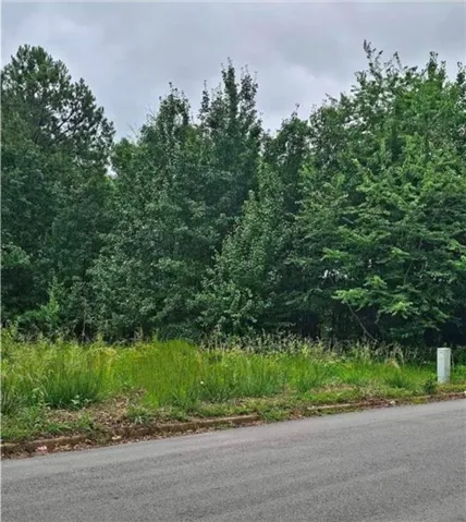 1546 Austin Drive, Decatur, Georgia 30032
