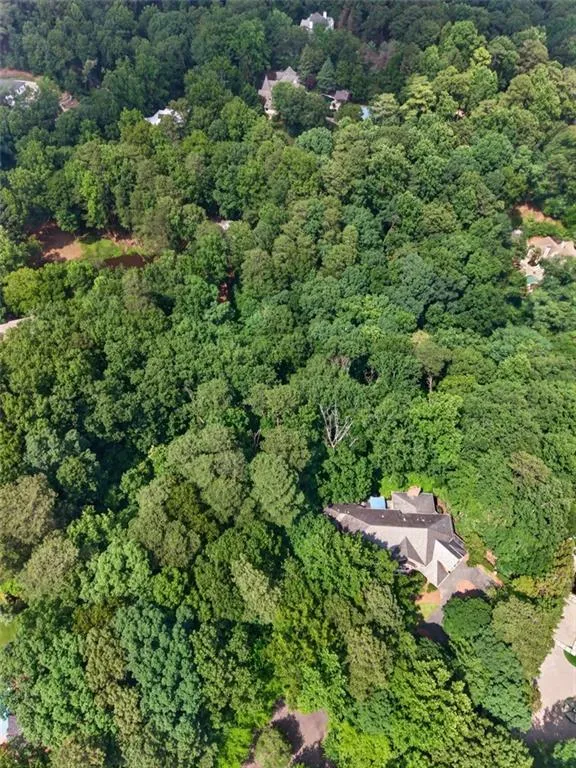 Extensive tree canopy surrounding the property