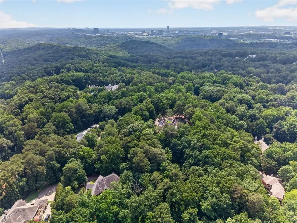 Expansive treed landscape with residential structures and distant urban skyline