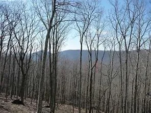 101 Deer Run, Big Canoe, Georgia 30143