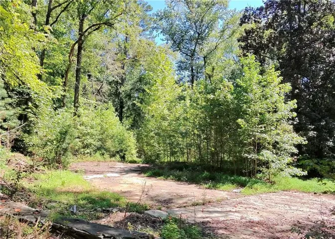 Former homesite surrounded by mature trees