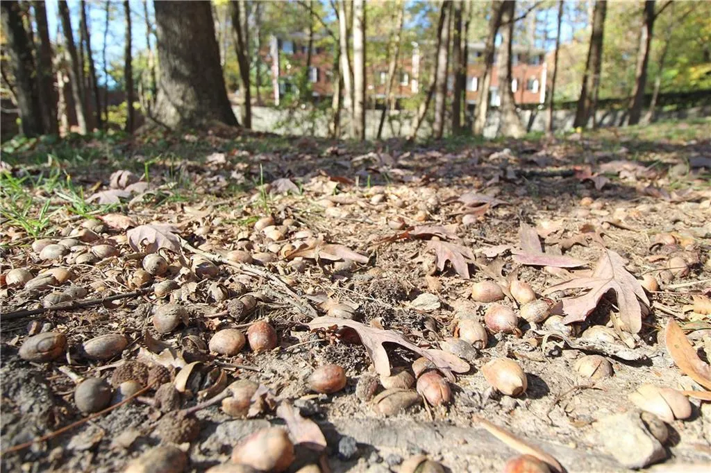 502 Dunwoody Chace, Sandy Springs, Georgia 30328, 3 Bedrooms Bedrooms, ,2 BathroomsBathrooms,Residential,Sold,502 Dunwoody Chace,6767530