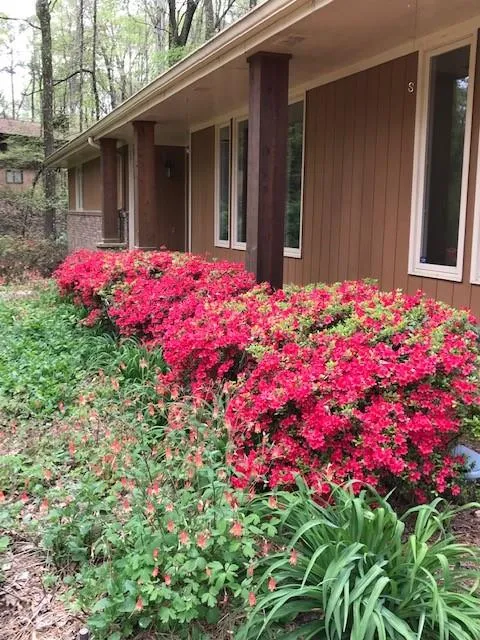 7270 Twin Branch Road, Sandy Springs, Georgia 30328, 4 Bedrooms Bedrooms, ,3 BathroomsBathrooms,Residential,Sold,7270 Twin Branch Road,6777541