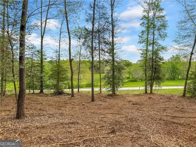 101 Broad River Road, Eastanollee, Georgia 30538