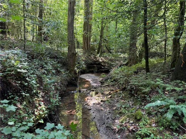 0 Alpine Drive, Sautee Nacoochee, Georgia 30571