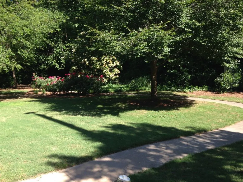 6940 Roswell Road Unit 20 E, Sandy Springs, Georgia 30328, 2 Bedrooms Bedrooms, ,1 BathroomBathrooms,Residential,Sold,6940 Roswell Road Unit 20 E,5864639