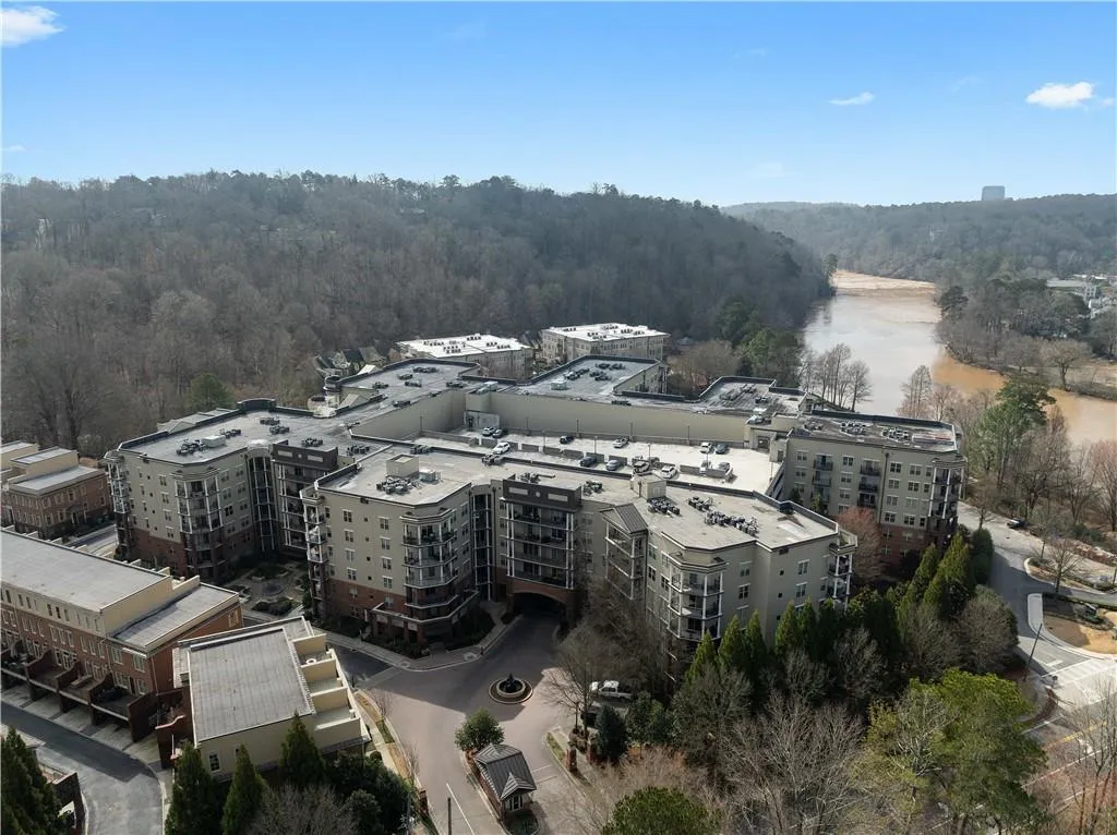 Bird's eye view of a forest and a nearby body of water