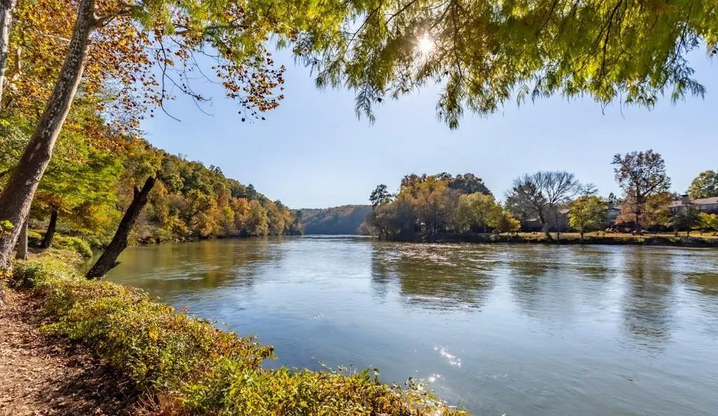 Water view featuring a forest