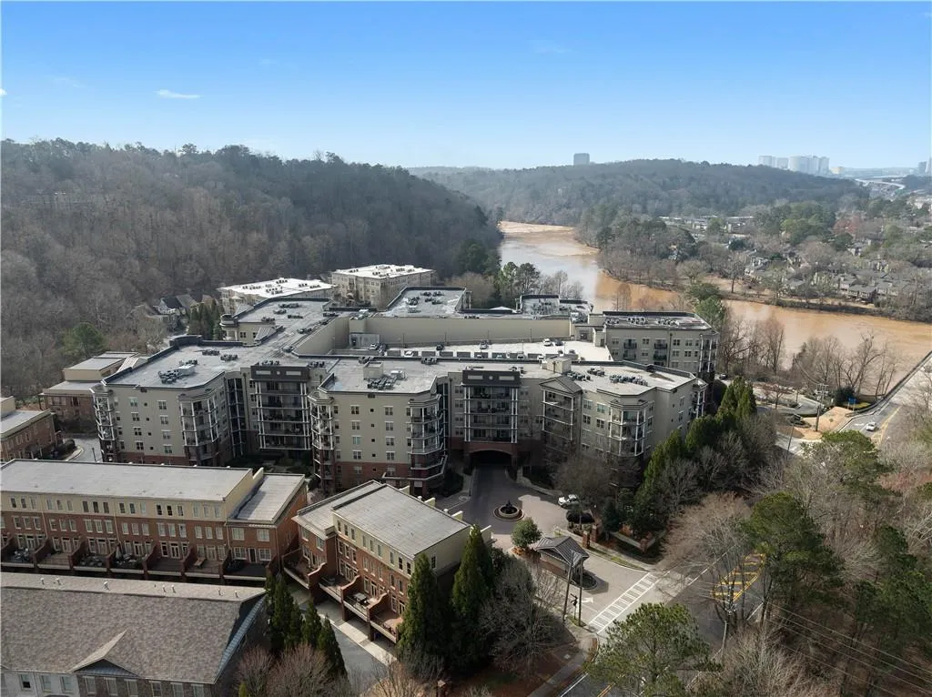 Drone / aerial view of a forest and a nearby body of water