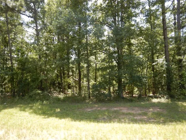 View of nature featuring a forest view