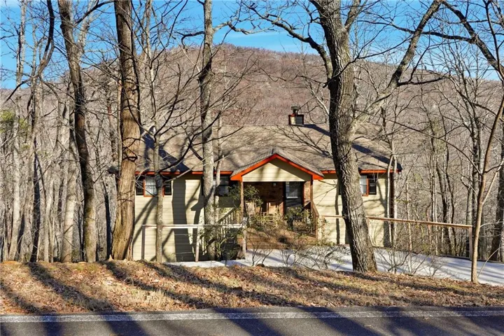 View of front of property featuring roof with shingles and a chimney