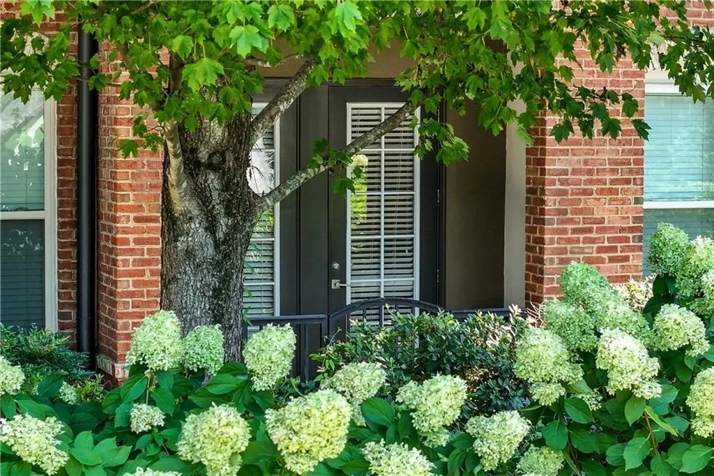 View of hydrangea flowers and tree lined sidewalk