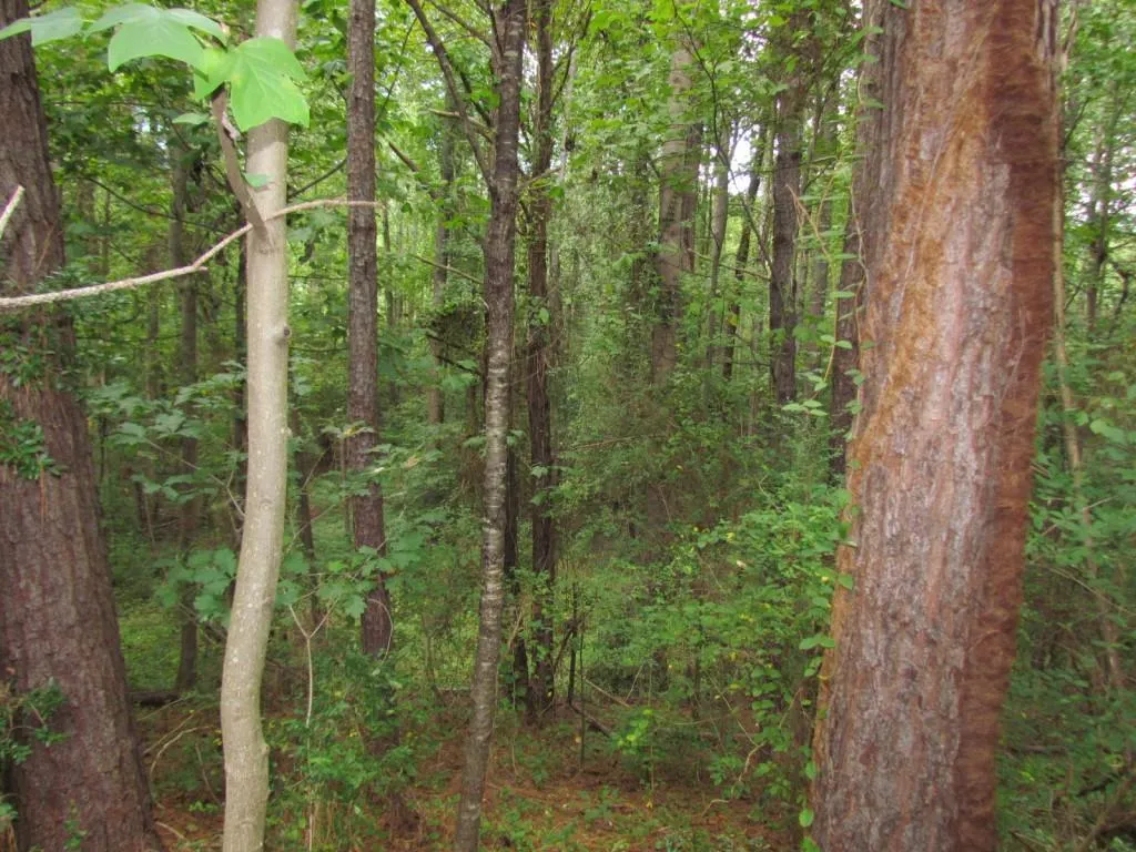 2607 Queen Anne Court Unit 2607, Atlanta, Georgia 30350, 2 Bedrooms Bedrooms, ,2 BathroomsBathrooms,Residential,Sold,2607 Queen Anne Court Unit 2607,5590244