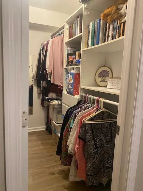 Primary Closet