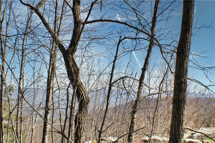 Beautiful peak at the center of the property for a sprawling home