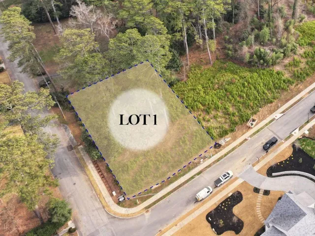 462 Emily Reed Lane, Atlanta, Georgia 30342