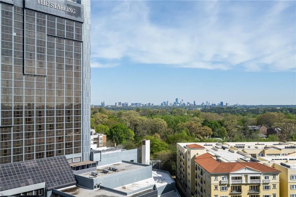 Elevated city skyline backdrop with expansive tree canopy
