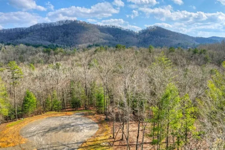 Lt 13 Rocky Ridge, Mineral Bluff, Georgia 30559