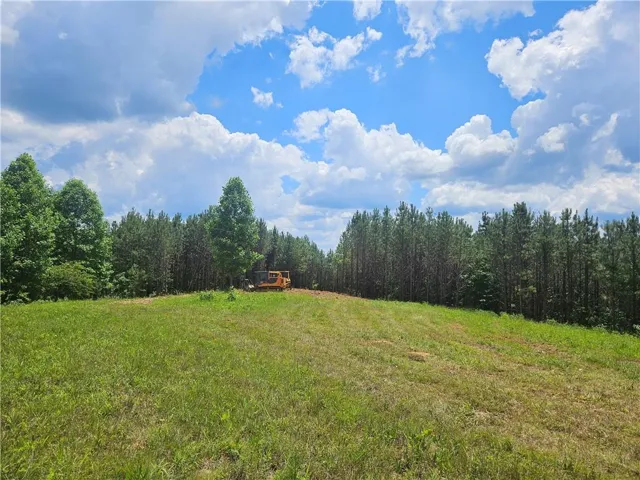 View of green lawn featuring a wooded view