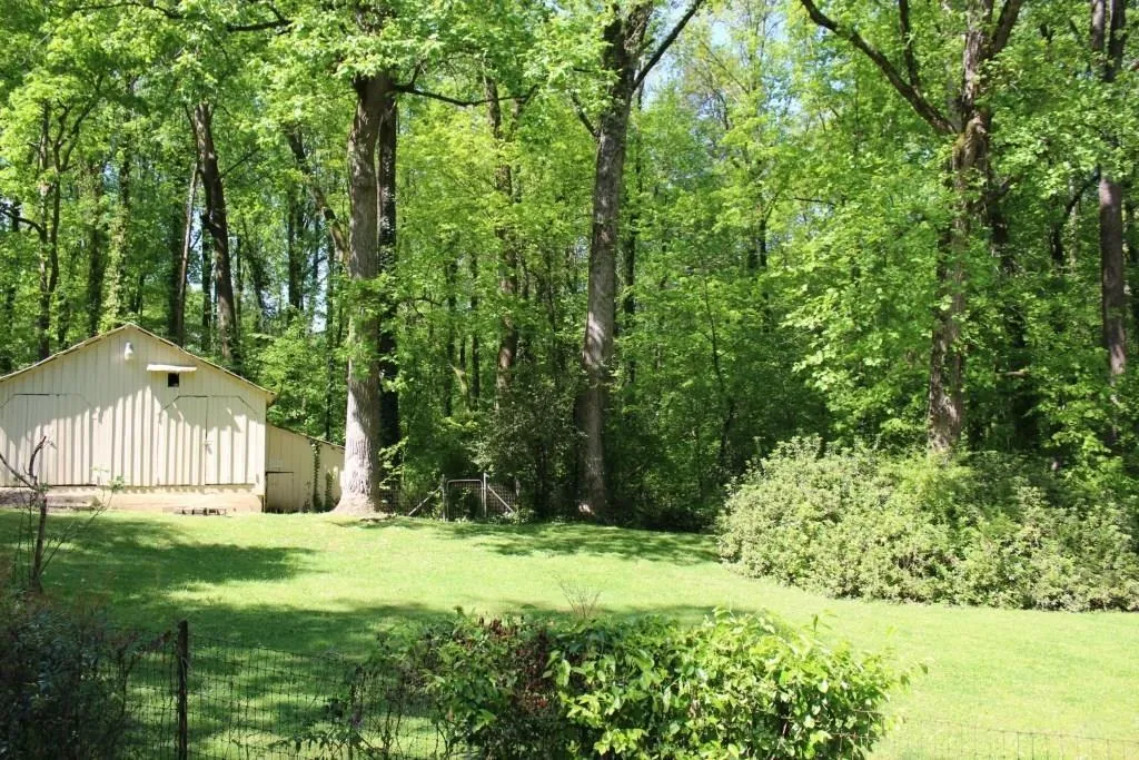 5260 Long Island Drive Nw, Sandy Springs, Georgia 30327, 5 Bedrooms Bedrooms, ,3 BathroomsBathrooms,Residential,Sold,5260 Long Island Drive Nw,6519601