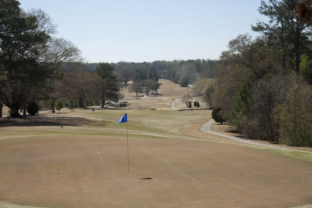 192 Pine Lake Drive, Sandy Springs, Georgia 30327, 5 Bedrooms Bedrooms, ,5 BathroomsBathrooms,Residential,Sold,192 Pine Lake Drive,5582987
