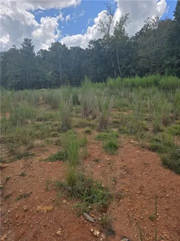 Expansive undeveloped land with sparse ground cover, featuring a dense tree line along the perimeter