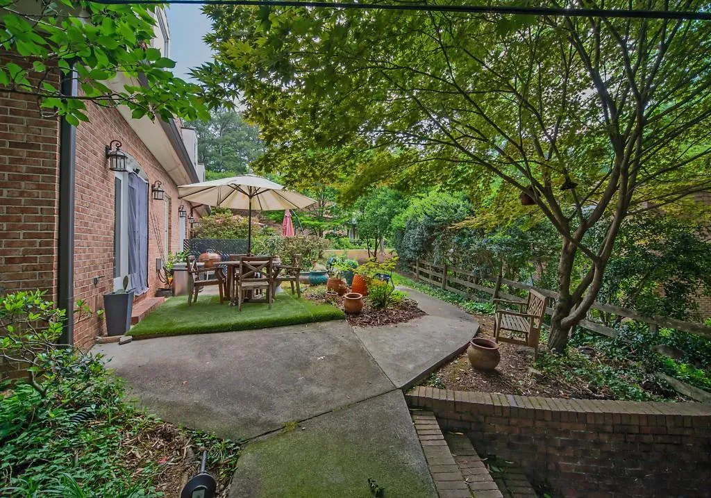 Backyard View
