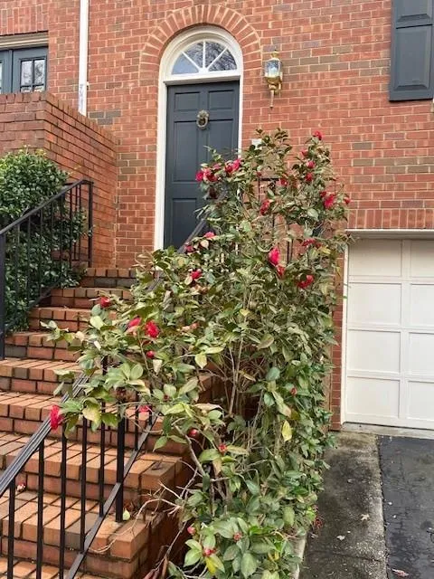 527 Jefferson Circle, Sandy Springs, Georgia 30328, 3 Bedrooms Bedrooms, ,2 BathroomsBathrooms,Residential,Sold,527 Jefferson Circle,7352706