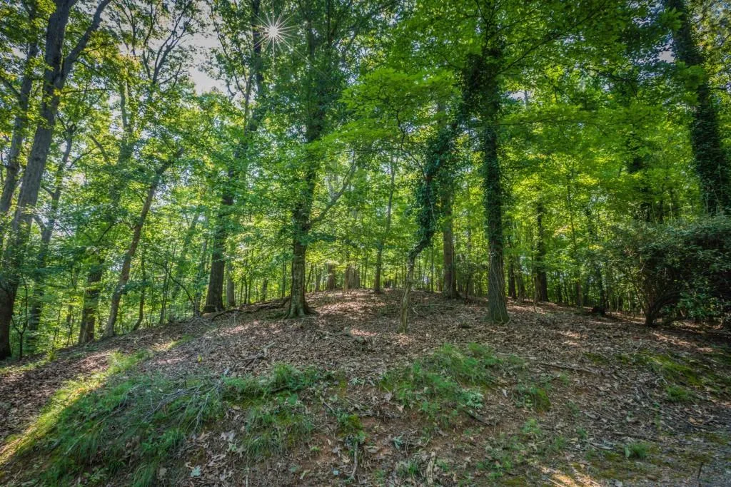 8260 Jett Ferry Road, Sandy Springs, Georgia 30350, ,Land,Sold,8260 Jett Ferry Road,5952930