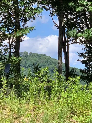 2046 Amy Creek Circle, Ellijay, Georgia 30540
