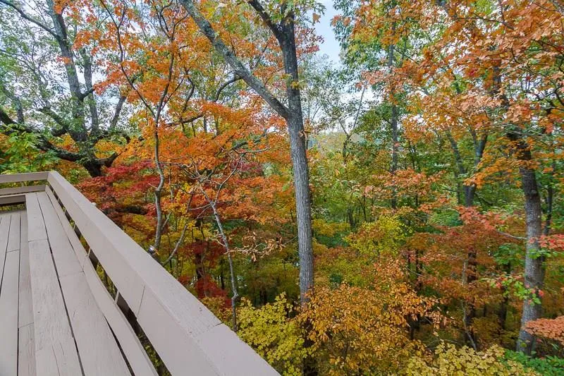 1155 Edgewater Drive, Sandy Springs, Georgia 30328, 6 Bedrooms Bedrooms, ,4 BathroomsBathrooms,Residential,Sold,1155 Edgewater Drive,5769509