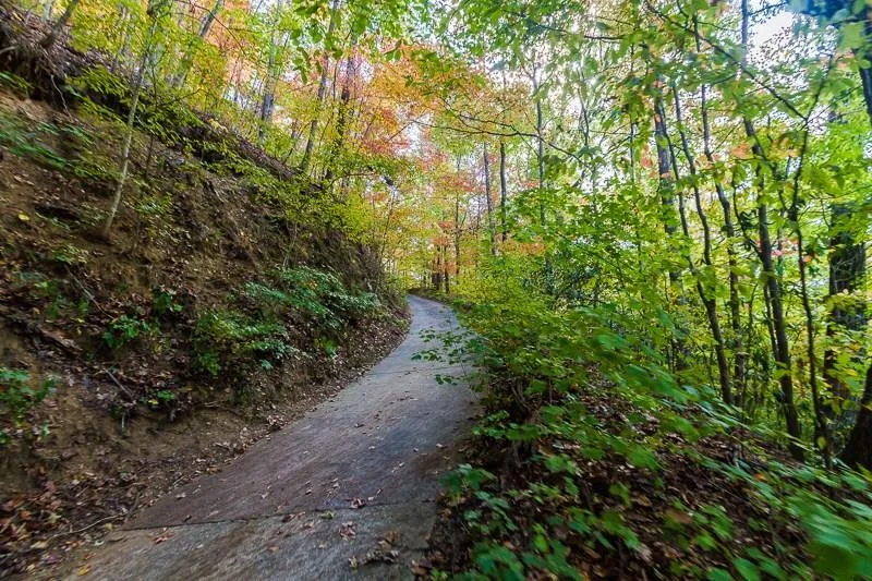 1155 Edgewater Drive, Sandy Springs, Georgia 30328, 6 Bedrooms Bedrooms, ,4 BathroomsBathrooms,Residential,Sold,1155 Edgewater Drive,5769509