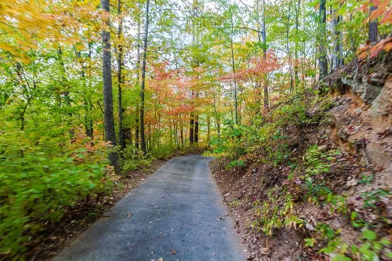 1155 Edgewater Drive, Sandy Springs, Georgia 30328, 6 Bedrooms Bedrooms, ,4 BathroomsBathrooms,Residential,Sold,1155 Edgewater Drive,5769509