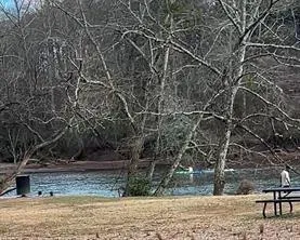 Local park 4 minutes away