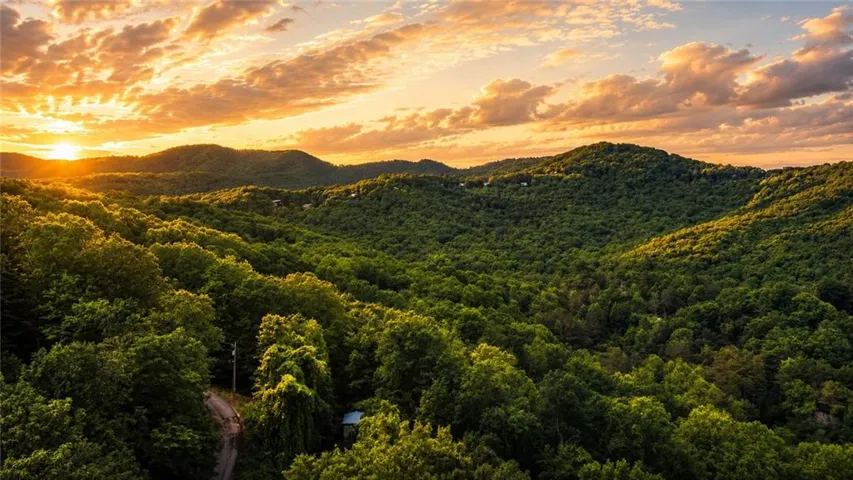 5.58 Gobbler Knob Drive, Ellijay, Georgia 30540