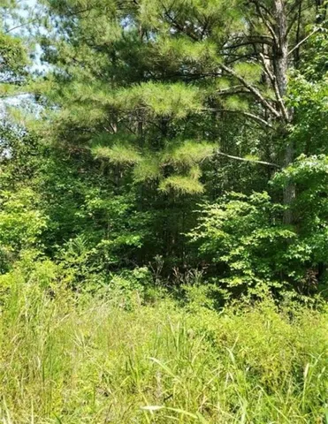 Mature trees and natural foliage