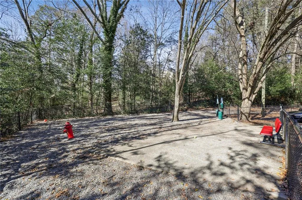 Dog park