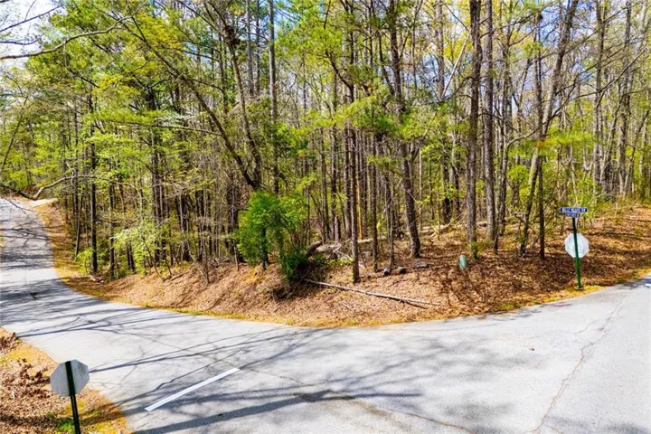 6156 Belle Meade Drive, Villa Rica, Georgia 30180