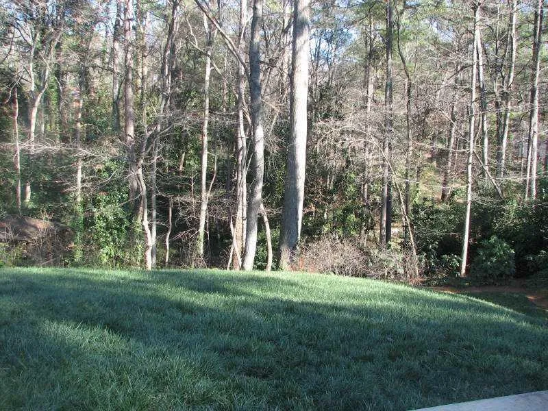 235 Forrest Lake Drive, Sandy Springs, Georgia 30327, 4 Bedrooms Bedrooms, ,3 BathroomsBathrooms,Residential,Sold,235 Forrest Lake Drive,4309590