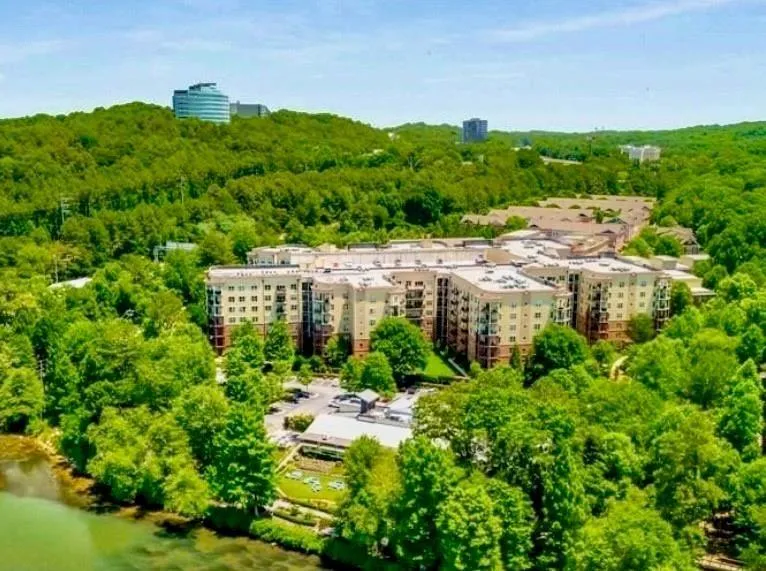 Drone / aerial view of a heavily wooded area