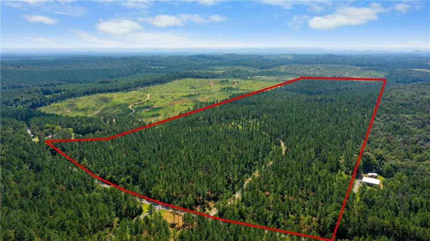 Expansive, tree-lined acreage with a cleared section