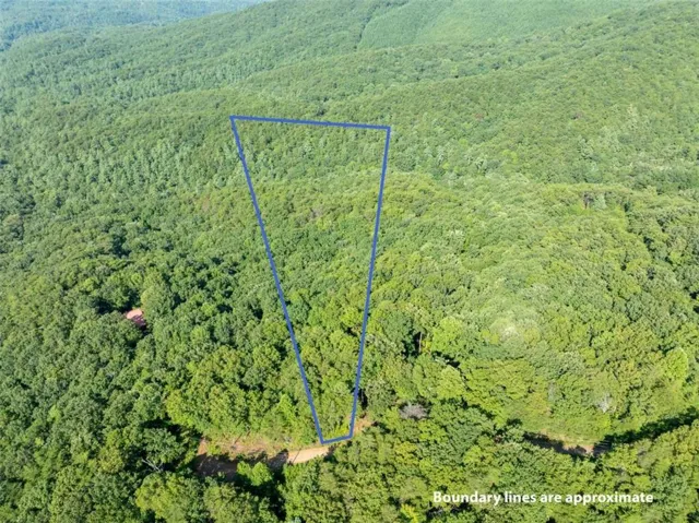 Lot 9 Brushy Top Drive, Chatsworth, Georgia 30705