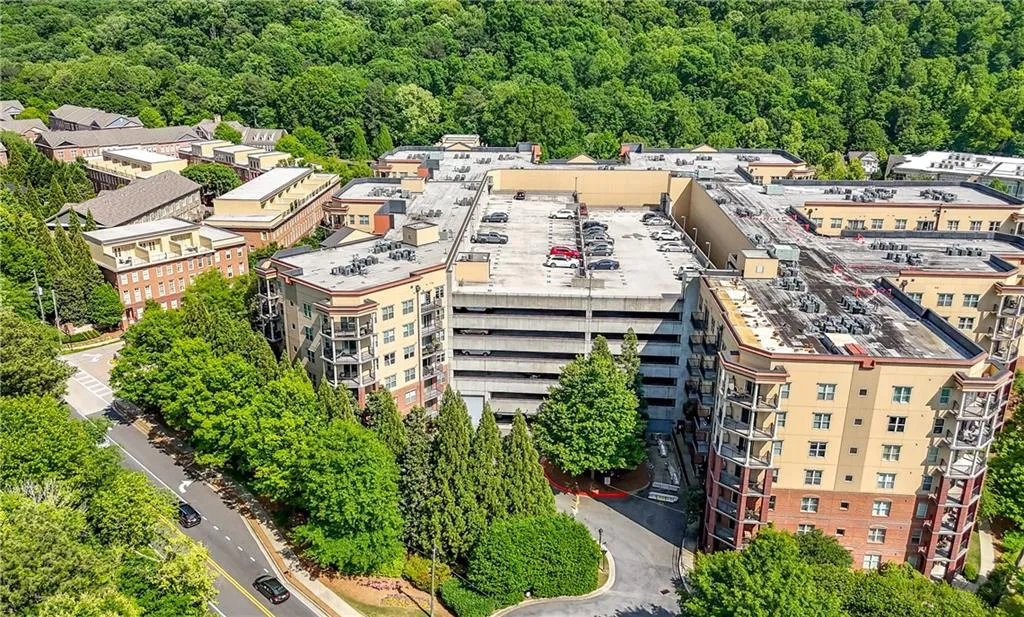Aerial view of a forest