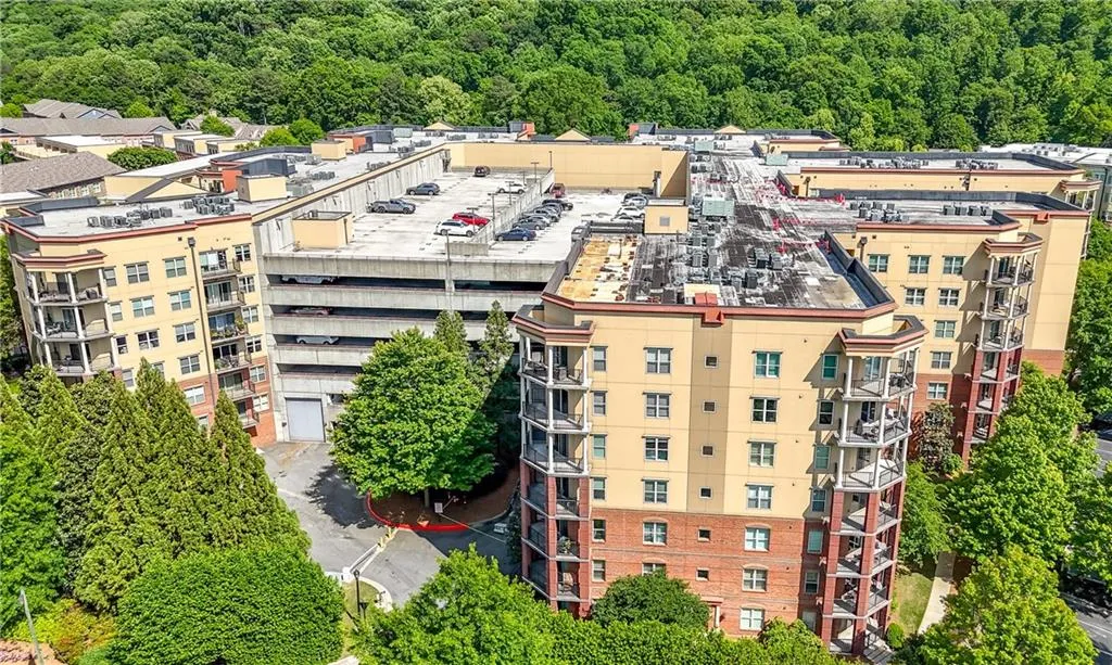 Bird's eye view of a forest
