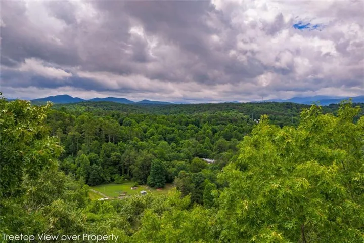 9 Deer Haven Drive, Morganton, Georgia 30560